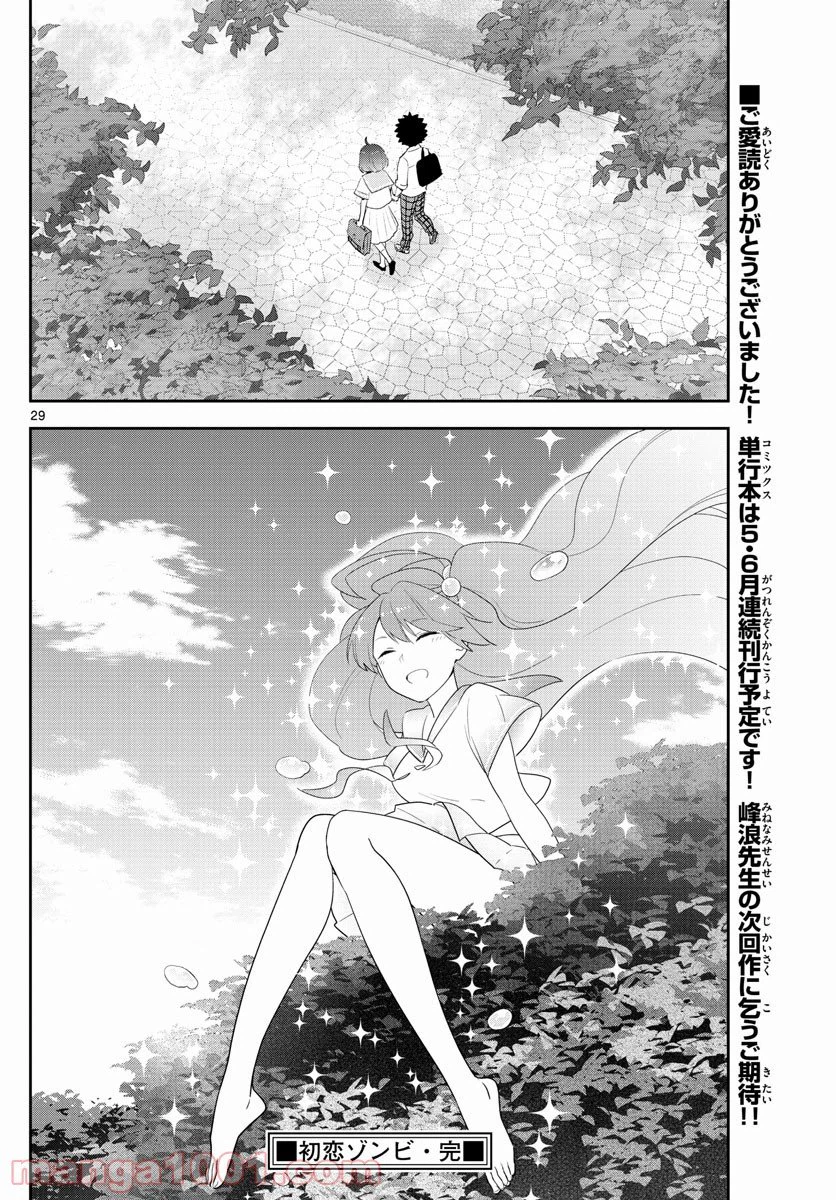 Page 29