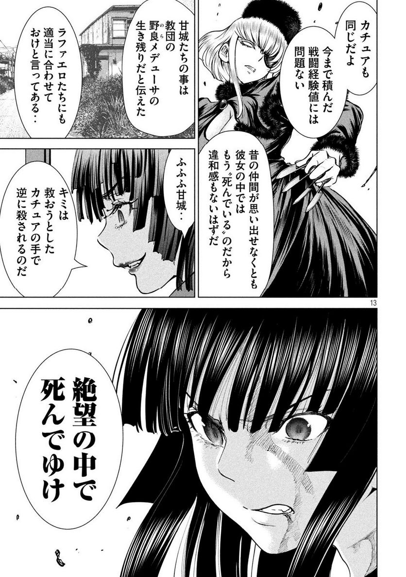 Page 13
