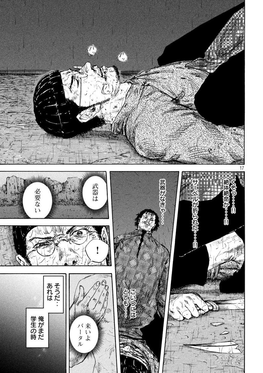 Page 17