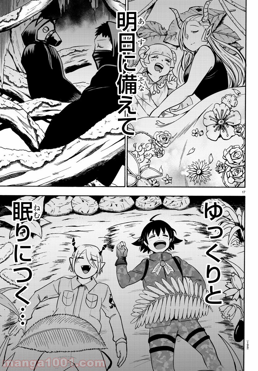 Page 17