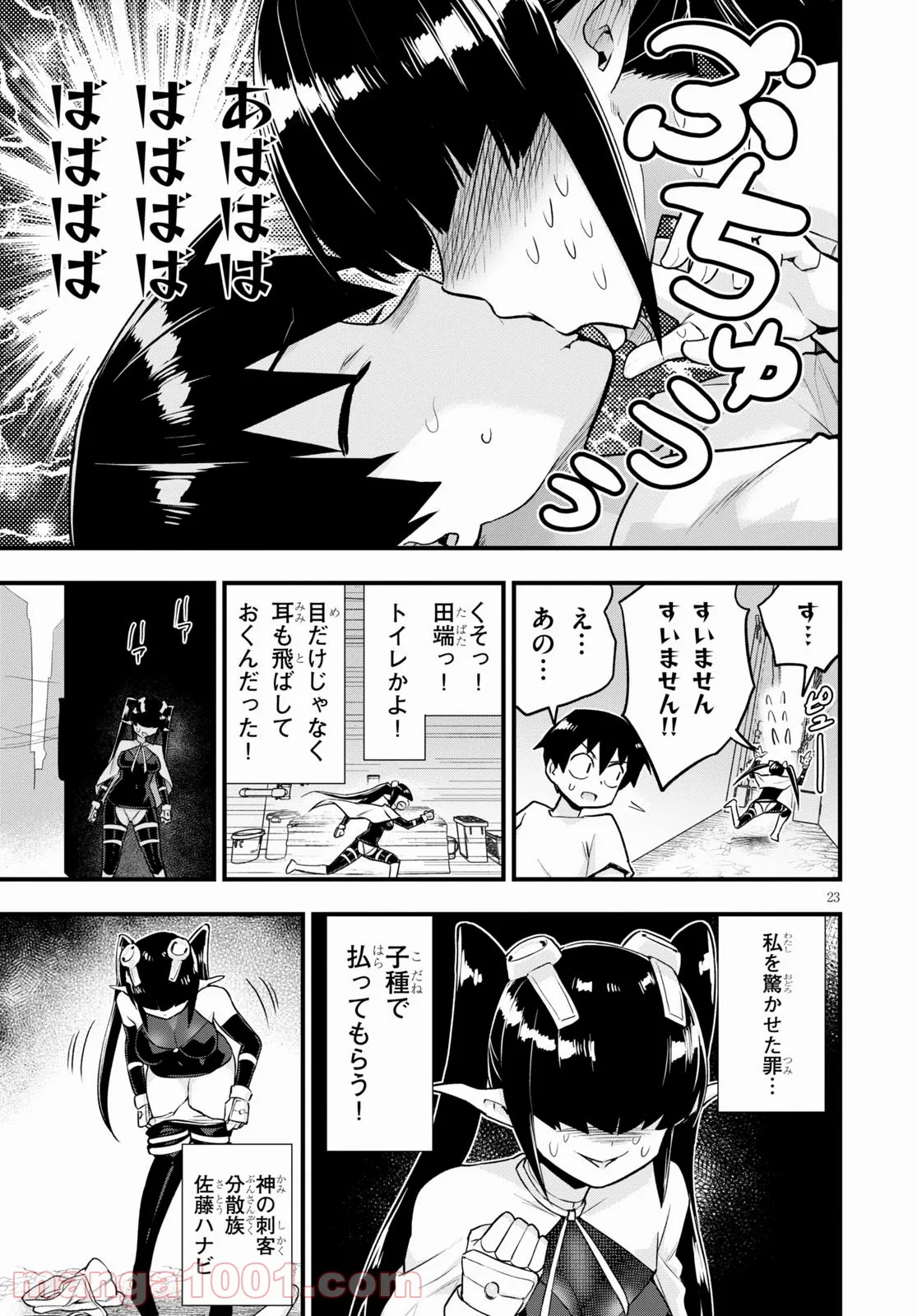 Page 23