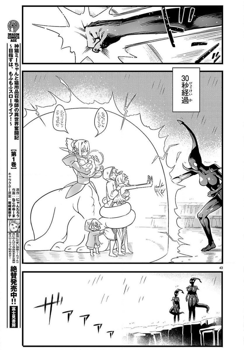 Page 43
