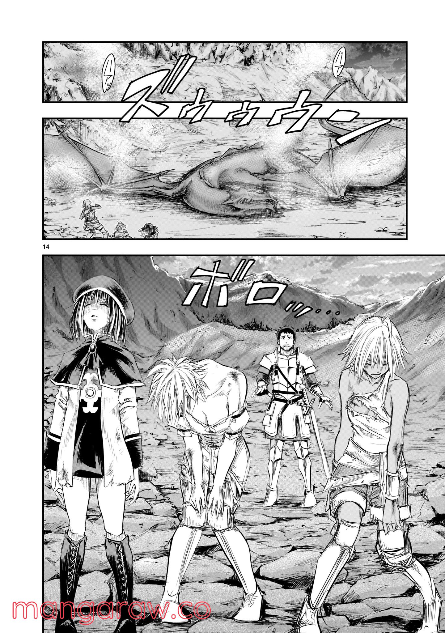 Page 14